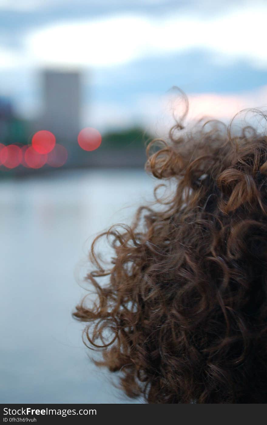 curls at dusk