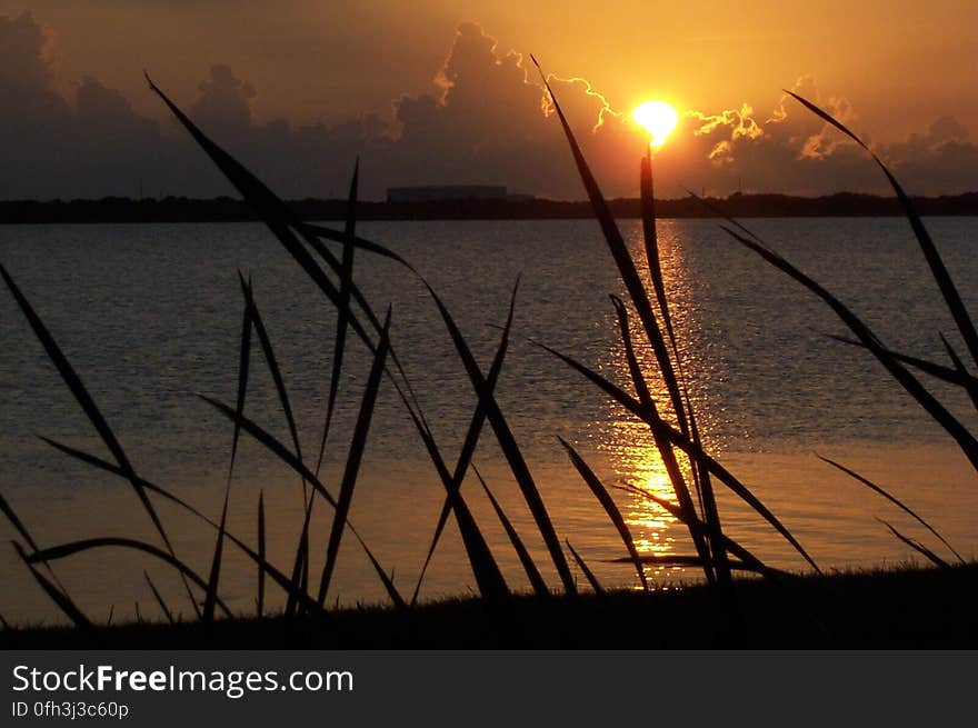 Sunrise, launch day. Sunrise, launch day