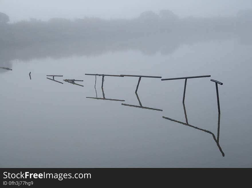 Wetlands