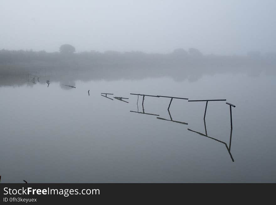 Wetlands 2