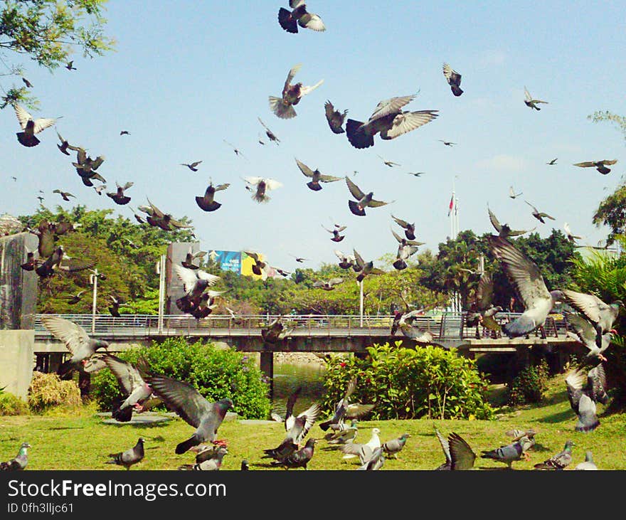 I say love, and the world populates itself with doves. Tainan Cultural Center, #TMCC å°å—å¸‚ç«‹æ–‡åŒ–ä¸­å¿ƒ å°å—å¸‚. I say love, and the world populates itself with doves. Tainan Cultural Center, #TMCC å°å—å¸‚ç«‹æ–‡åŒ–ä¸­å¿ƒ å°å—å¸‚