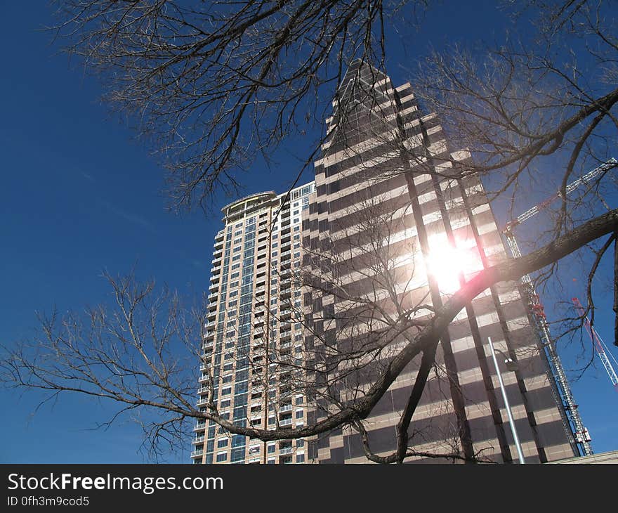 Sky, Building, Skyscraper, Plant, Tower, World