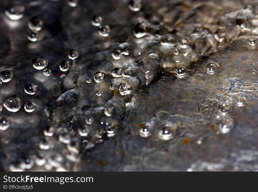 Water in my kitchen sink.