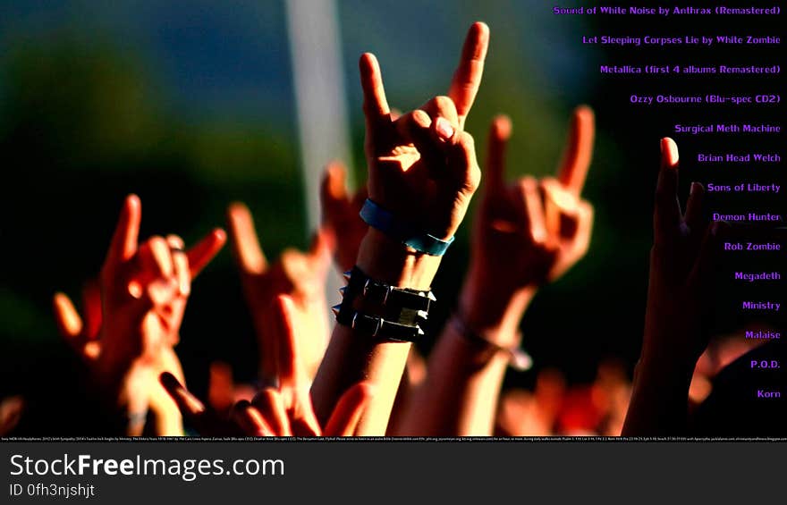 Concert, Musician, Entertainment, Organism, Music, Gesture