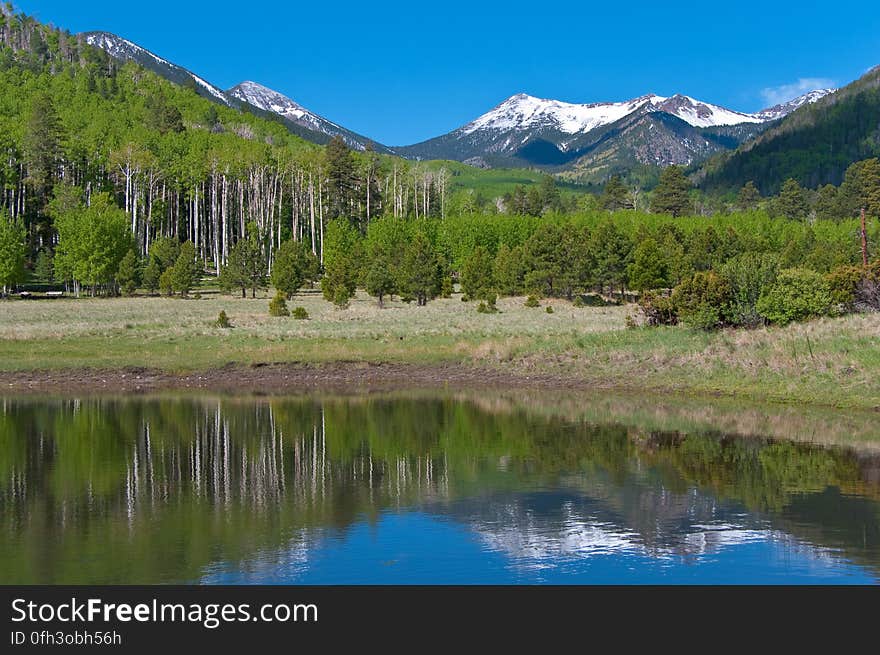 After an early morning hike on Inner Basin Trail in the San Francisco Peaks, stopped by the tank in Lockett Meadow to enjoy the reflection of the snowy Peaks. 2009-05-30: Saturday evening, we were sitting on the front porch after our evening walk, enjoying a cup of chai and watching the sun set. There had been rain during the late afternoon, and heavy clouds had descended over the Peaks, hiding the mountain from view. The clouds had lifted in time for our evening ritual, and we noticed there was new snow on the upper tips of the Peaks. As we sipped our tea, we joked “If we were really motivated, we’d get up early, hit the Inner Basin Trail at dawn, and get some good photos before the snow melts off…” 2009-05-31: …so, at 4:00AM we stumbled out of bed, grabbed some coffee, got dressed, grabbed more coffee and rolled out the door around 4:30AM. We drove up the mountain, and hit the trail around 5:15AM. There was a bit of a breeze making the hike rather chilly. Everything was wet and green, and the aspens created a delectable aroma. Past Jack Spring &#x28;1.5 miles from the trailhead&#x29; we hit the frost line, and the vegetation sparkled &#x28;and the air was noticeably chillier&#x29;. We arrived at the Inner Basin &#x28;the point where there’s a shelter and pumphouse, and all the Peaks are visible&#x29; around 6:45AM. We’d expected some shade still at that hour, and were delighted to discover the sun was shining right up through the low point in the Peaks &#x28;the north-eastern side, where the wall was blown out during an eruption&#x29;, lighting up the entire Inner Basin for us. We wandered around a bit capturing various shots, then headed back to attend to our day’s activities. Hiking report View all the photos from this hike