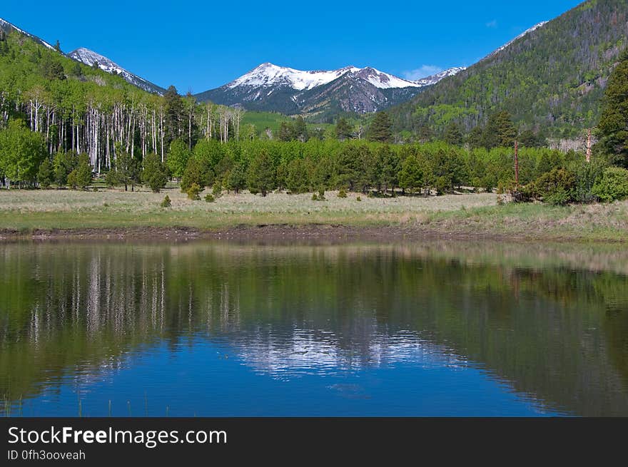 After an early morning hike on Inner Basin Trail in the San Francisco Peaks, stopped by the tank in Lockett Meadow to enjoy the reflection of the snowy Peaks. 2009-05-30: Saturday evening, we were sitting on the front porch after our evening walk, enjoying a cup of chai and watching the sun set. There had been rain during the late afternoon, and heavy clouds had descended over the Peaks, hiding the mountain from view. The clouds had lifted in time for our evening ritual, and we noticed there was new snow on the upper tips of the Peaks. As we sipped our tea, we joked “If we were really motivated, we’d get up early, hit the Inner Basin Trail at dawn, and get some good photos before the snow melts off…” 2009-05-31: …so, at 4:00AM we stumbled out of bed, grabbed some coffee, got dressed, grabbed more coffee and rolled out the door around 4:30AM. We drove up the mountain, and hit the trail around 5:15AM. There was a bit of a breeze making the hike rather chilly. Everything was wet and green, and the aspens created a delectable aroma. Past Jack Spring &#x28;1.5 miles from the trailhead&#x29; we hit the frost line, and the vegetation sparkled &#x28;and the air was noticeably chillier&#x29;. We arrived at the Inner Basin &#x28;the point where there’s a shelter and pumphouse, and all the Peaks are visible&#x29; around 6:45AM. We’d expected some shade still at that hour, and were delighted to discover the sun was shining right up through the low point in the Peaks &#x28;the north-eastern side, where the wall was blown out during an eruption&#x29;, lighting up the entire Inner Basin for us. We wandered around a bit capturing various shots, then headed back to attend to our day’s activities. Hiking report View all the photos from this hike