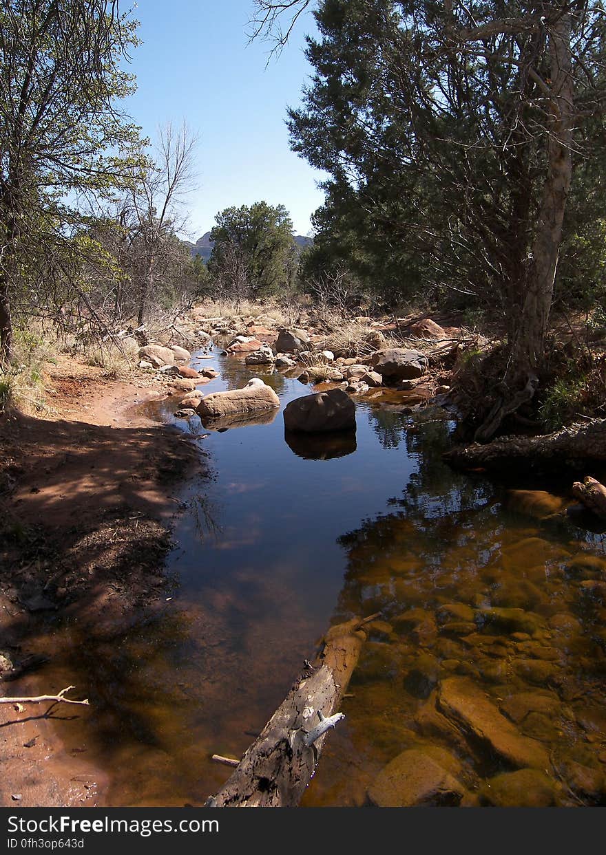 Secret Canyon Trail **Sedona Loop Hike - Secret Canyon, David Miller, Bear Sign, and Dry Creek Trails 2009-03-18: With the increasingly long days, we decided to hike the Secret Canyon, Dave Miller, Bear Sign, and Dry Creek loop for our midweek hike. The entire loop is approximately 6.5 miles long. The loop starts at Secret Canyon trailhead, following the first two miles of the trail through wide open canyon with fantasic redrock views. David Miller Trail comes in from the left right before Secret Canyon Trail turns to go deep into Secret Canyon. David Miller serves as a joiner trail between Secret Canyon and Bear Sign Trails. The trail is one mile long, with a moderately strenuous &#x28;but thankfully short, quarter mile&#x29; climb up to a pass. The views from the trail are absolutely fantastic, however the pass itself is fairly heavily treed, so be the best views are from the trail before reaching the pass. The trail on the Bear Sign Canyon side of the pass is steeper and the canyon is heavily forested. The descent from the pass to the canyon floor is approximately 200 vertical feet. Turning right on Bear Sign Trail leads 2.25 miles through the heavily forested, steep, narrow canyon. The canyon is very pretty, and a great hike for escaping the heat on warmer days. The trail drops down into the wash nears the end, joining up at Dry Creek Trail where two drainages meet. Veering left on Dry Creek Trail, the trail offers some nice canyon views before arriving at the Dry Creek/Vultee’s Arch trailhead after 0.75 mile. Secret Canyon trailhead is a mile hike down the dirt road from the Dry Creek/Vultee’s Arch trailhead. Hiking report All the photos from this hike Trail photos, information, and maps: Secret Canyon #121 David Miller Bear Sign #59 Dry Creek