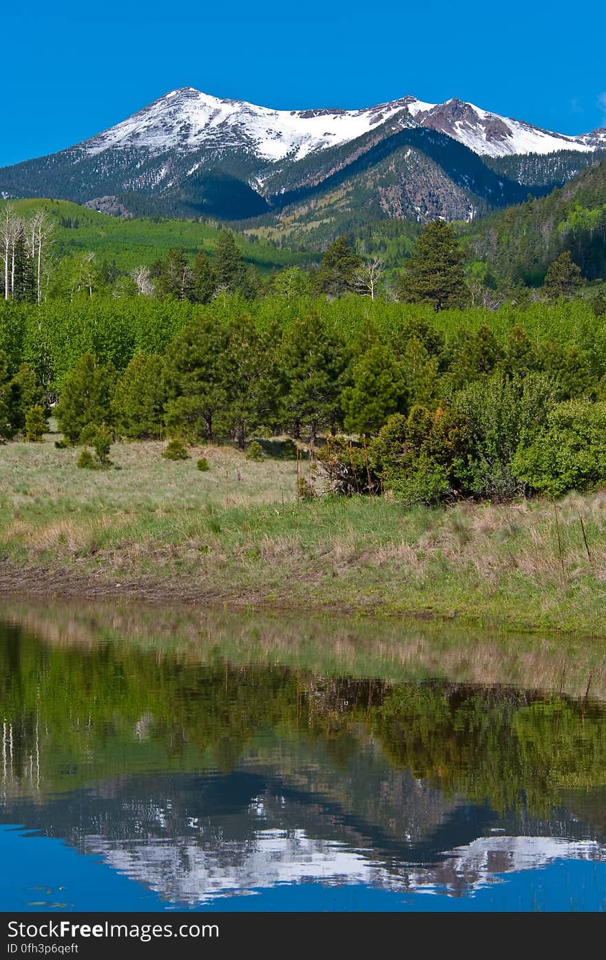 After an early morning hike on Inner Basin Trail in the San Francisco Peaks, stopped by the tank in Lockett Meadow to enjoy the reflection of the snowy Peaks. 2009-05-30: Saturday evening, we were sitting on the front porch after our evening walk, enjoying a cup of chai and watching the sun set. There had been rain during the late afternoon, and heavy clouds had descended over the Peaks, hiding the mountain from view. The clouds had lifted in time for our evening ritual, and we noticed there was new snow on the upper tips of the Peaks. As we sipped our tea, we joked “If we were really motivated, we’d get up early, hit the Inner Basin Trail at dawn, and get some good photos before the snow melts off…” 2009-05-31: …so, at 4:00AM we stumbled out of bed, grabbed some coffee, got dressed, grabbed more coffee and rolled out the door around 4:30AM. We drove up the mountain, and hit the trail around 5:15AM. There was a bit of a breeze making the hike rather chilly. Everything was wet and green, and the aspens created a delectable aroma. Past Jack Spring &#x28;1.5 miles from the trailhead&#x29; we hit the frost line, and the vegetation sparkled &#x28;and the air was noticeably chillier&#x29;. We arrived at the Inner Basin &#x28;the point where there’s a shelter and pumphouse, and all the Peaks are visible&#x29; around 6:45AM. We’d expected some shade still at that hour, and were delighted to discover the sun was shining right up through the low point in the Peaks &#x28;the north-eastern side, where the wall was blown out during an eruption&#x29;, lighting up the entire Inner Basin for us. We wandered around a bit capturing various shots, then headed back to attend to our day’s activities. Hiking report View all the photos from this hike