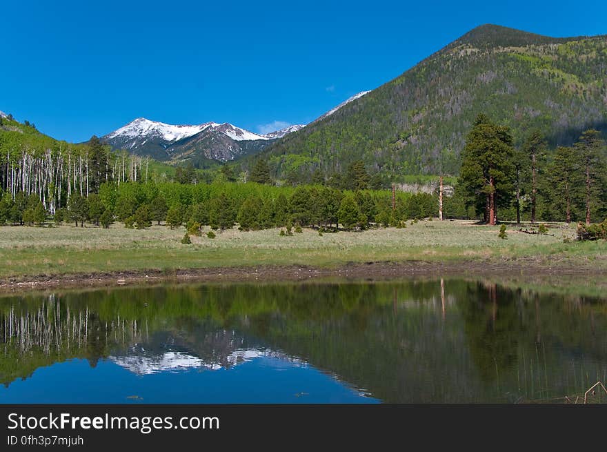 After an early morning hike on Inner Basin Trail in the San Francisco Peaks, stopped by the tank in Lockett Meadow to enjoy the reflection of the snowy Peaks. 2009-05-30: Saturday evening, we were sitting on the front porch after our evening walk, enjoying a cup of chai and watching the sun set. There had been rain during the late afternoon, and heavy clouds had descended over the Peaks, hiding the mountain from view. The clouds had lifted in time for our evening ritual, and we noticed there was new snow on the upper tips of the Peaks. As we sipped our tea, we joked “If we were really motivated, we’d get up early, hit the Inner Basin Trail at dawn, and get some good photos before the snow melts off…” 2009-05-31: …so, at 4:00AM we stumbled out of bed, grabbed some coffee, got dressed, grabbed more coffee and rolled out the door around 4:30AM. We drove up the mountain, and hit the trail around 5:15AM. There was a bit of a breeze making the hike rather chilly. Everything was wet and green, and the aspens created a delectable aroma. Past Jack Spring &#x28;1.5 miles from the trailhead&#x29; we hit the frost line, and the vegetation sparkled &#x28;and the air was noticeably chillier&#x29;. We arrived at the Inner Basin &#x28;the point where there’s a shelter and pumphouse, and all the Peaks are visible&#x29; around 6:45AM. We’d expected some shade still at that hour, and were delighted to discover the sun was shining right up through the low point in the Peaks &#x28;the north-eastern side, where the wall was blown out during an eruption&#x29;, lighting up the entire Inner Basin for us. We wandered around a bit capturing various shots, then headed back to attend to our day’s activities. Hiking report View all the photos from this hike