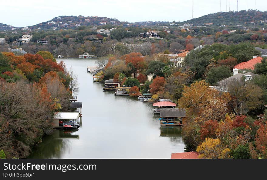 Foliage on Lake Austin