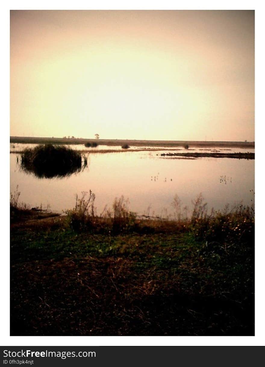 Iphone, Water, Wetlands