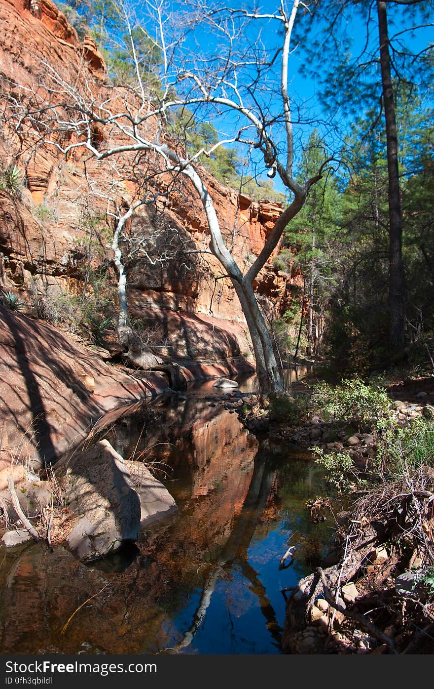 Backpacking trip into Secret Canyon. Backpacking trip into Secret Canyon.