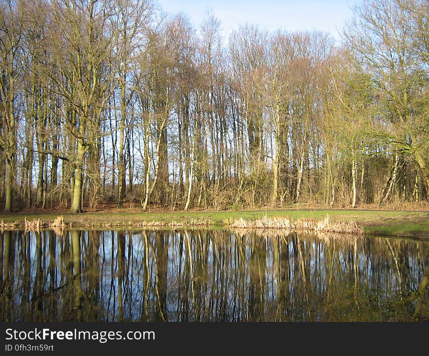 Trees and water in the Amsterdamse Bos, a large public park near Amsterdam, the Netherlands. Trees and water in the Amsterdamse Bos, a large public park near Amsterdam, the Netherlands.