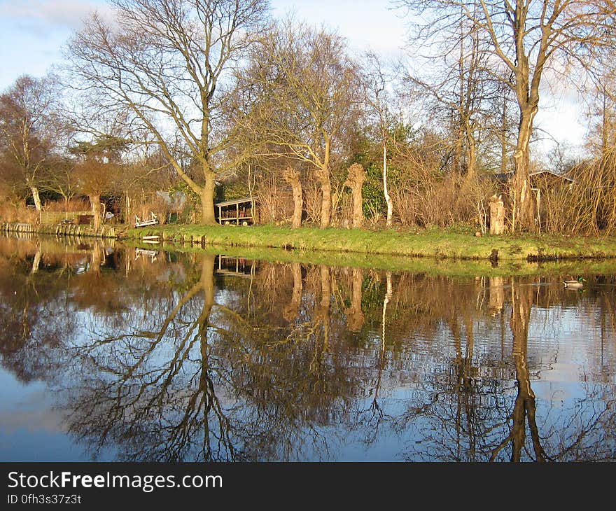 Allotments in Amstelveen, the Netherlands. &#x28;The duck on the right slowly swam towards the photographer, clearly hoping for some bread. Not today, mate, sorry.&#x29;