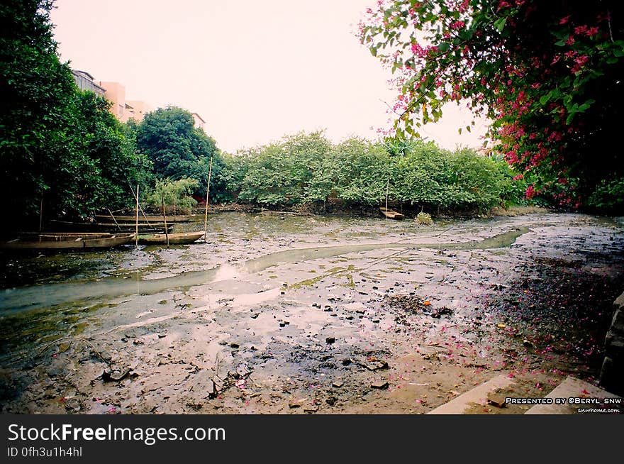 I went to the XiaoZhou Villige and took a sets of photo. But don&#x27;t u think that something went extremely WRONG??? Plus some daily pics. 我去了一趟小洲村，本来想拍些图的，但你是不是和我一样觉得好像有什么东西不对劲啊？？ 还有一些日常照。 Kodak Pro Foto XL 100 Nikon FM2. I went to the XiaoZhou Villige and took a sets of photo. But don&#x27;t u think that something went extremely WRONG??? Plus some daily pics. 我去了一趟小洲村，本来想拍些图的，但你是不是和我一样觉得好像有什么东西不对劲啊？？ 还有一些日常照。 Kodak Pro Foto XL 100 Nikon FM2