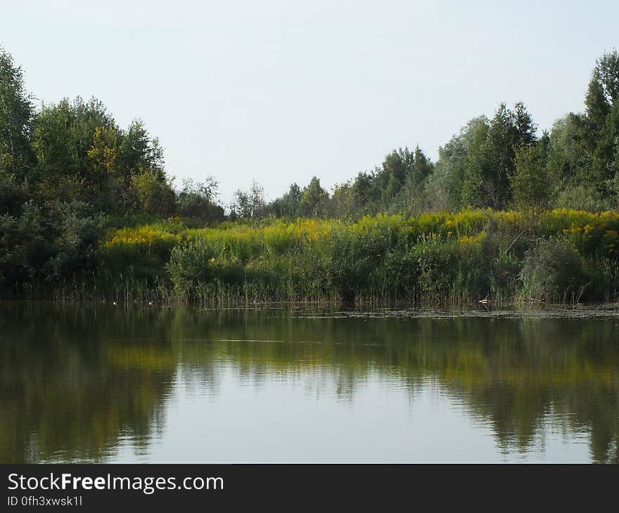 Water, Sky, Plant, Water resources, Fluvial landforms of streams, Natural landscape