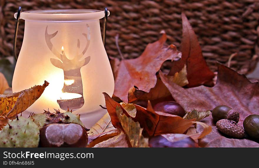 Shallow Focus Photograph Clear Reindeer Print Candle Glass Candle Lamp Near Red Dried Leaf