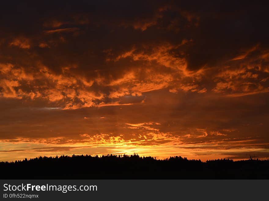 Dramatic orange and yellow sunset above a forest of fir trees and with swirling clouds lit by the orange glow. Dramatic orange and yellow sunset above a forest of fir trees and with swirling clouds lit by the orange glow.