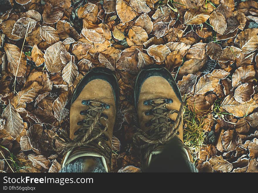 Low Section of Man Standing on Autumn Leaves