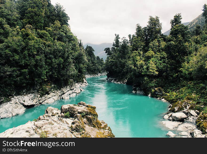 Scenic View of River