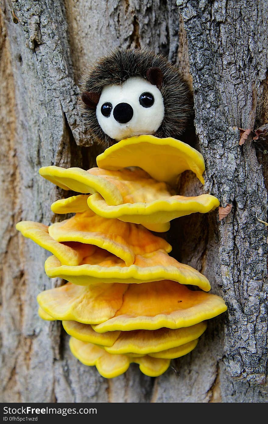 White Plush Toy on Top of Yellow Mushroom