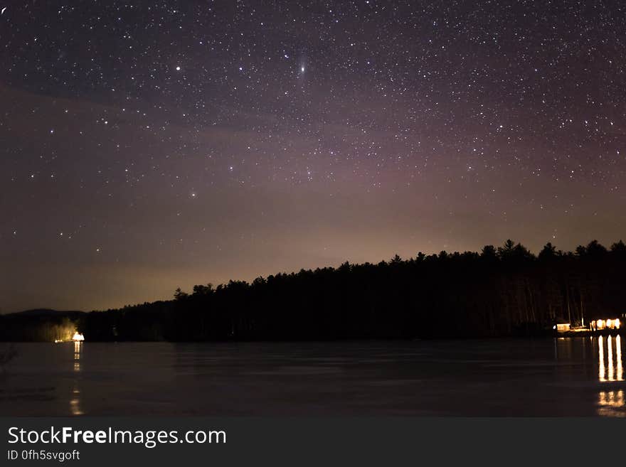 Forest Under Starry Night