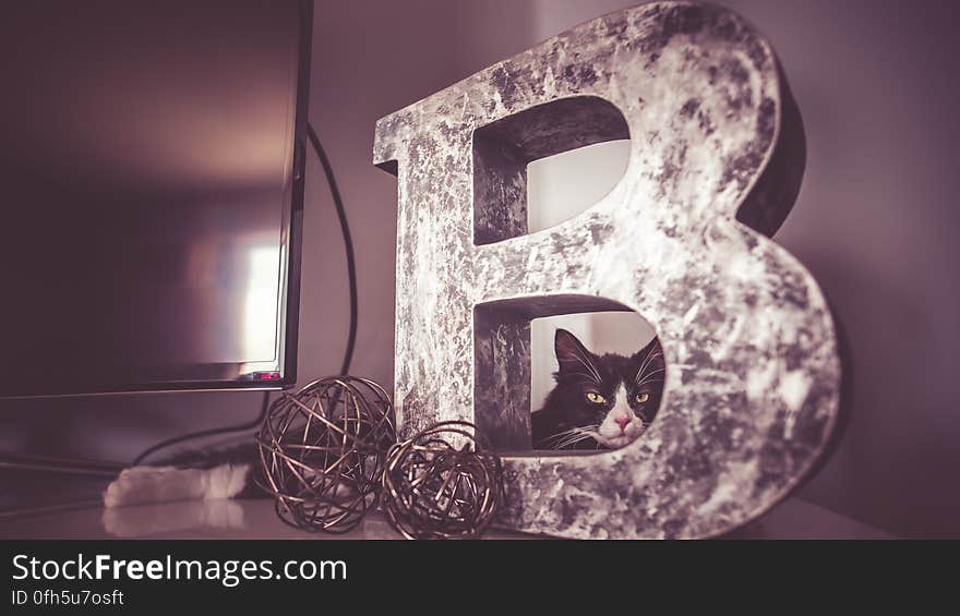 A cat looking through a large decorative letter B. A cat looking through a large decorative letter B.