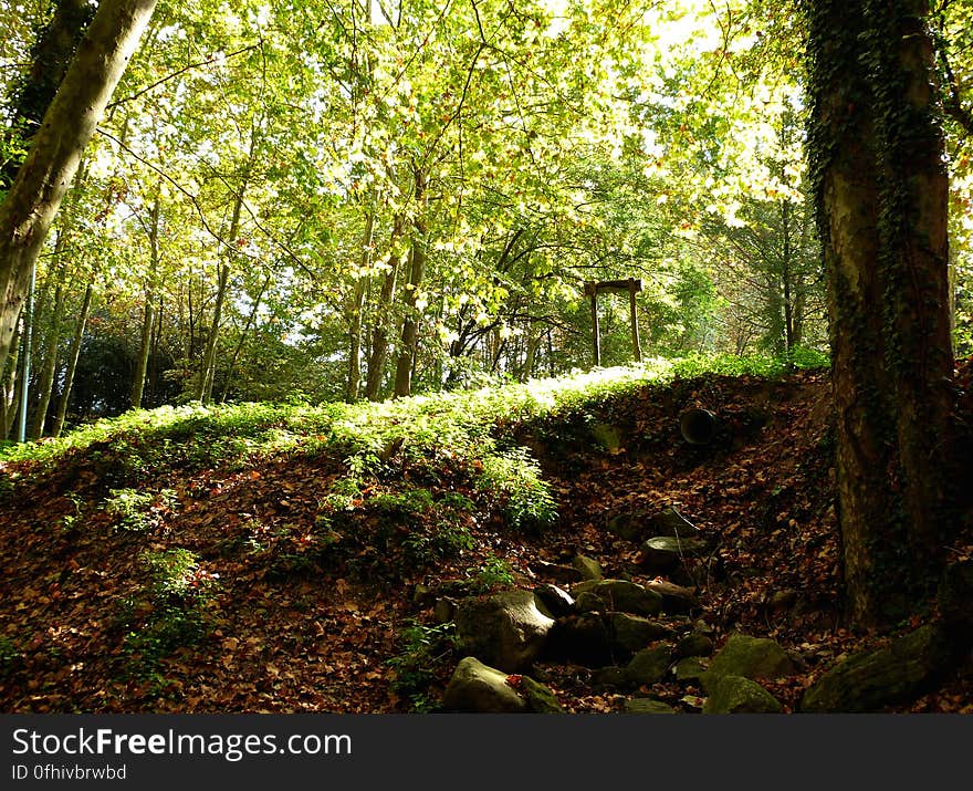 Went to my favorite mountain for an autumn hike today. The Montseny is such a magical place. Went to my favorite mountain for an autumn hike today. The Montseny is such a magical place.