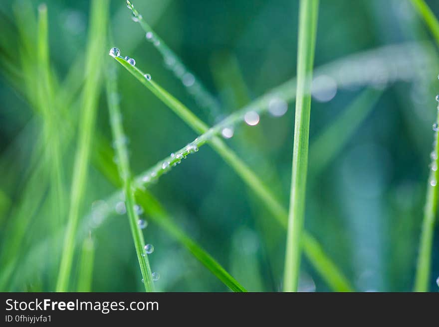 Macro photography is definitely not my specialty. I have the gear and have been challenged to try it. This morning I braved the winter dew, took this and survived the whole experience. Phew. Macro photography is definitely not my specialty. I have the gear and have been challenged to try it. This morning I braved the winter dew, took this and survived the whole experience. Phew.