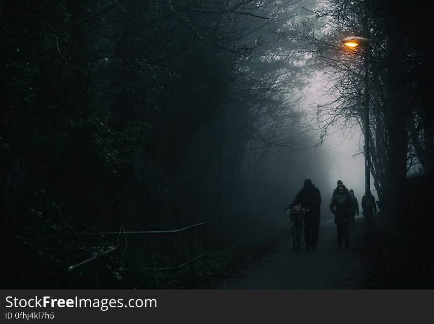 Silhouettes on the path