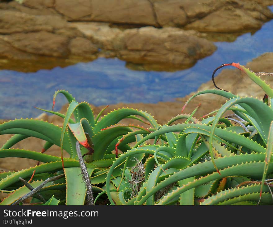 Dalmeny NSW Australia. Dalmeny NSW Australia