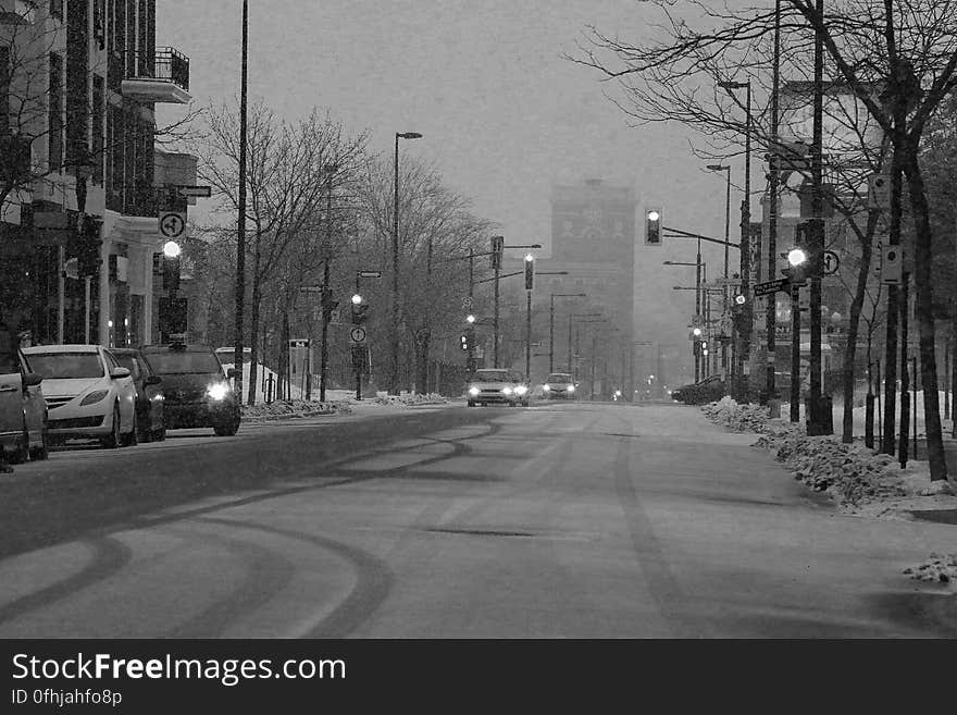 Snowy Darky Urban Street Mornings