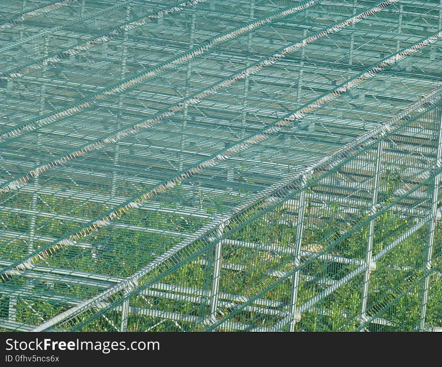 Mesh, Grass, Pattern, Net, Fence, Slope