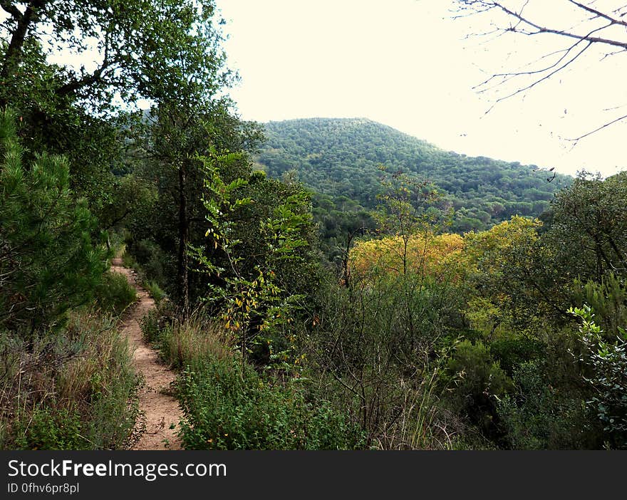 Went to my favorite mountain for an autumn hike today. The Montseny is such a magical place. Went to my favorite mountain for an autumn hike today. The Montseny is such a magical place.