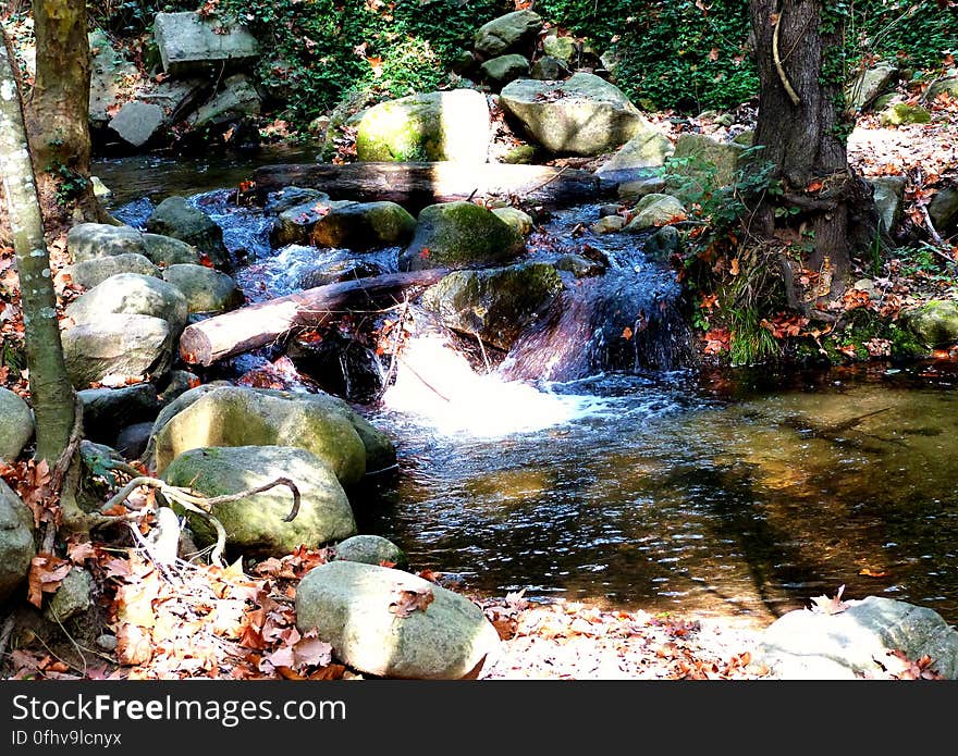 Went to my favorite mountain for an autumn hike today. The Montseny is such a magical place. Went to my favorite mountain for an autumn hike today. The Montseny is such a magical place.