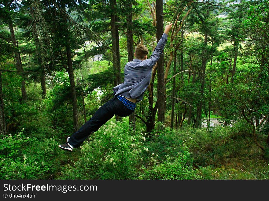 Plant, Tree, Natural landscape, Terrestrial plant, People in nature, Trunk