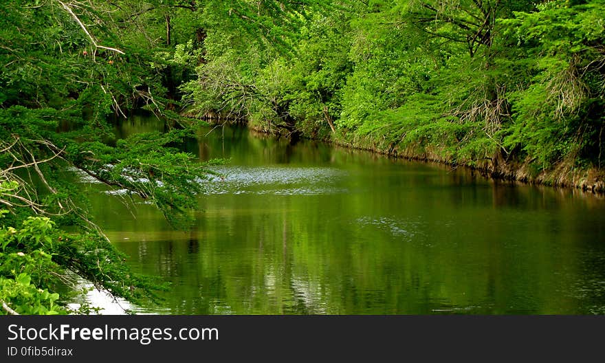 A view down Onion creek. A view down Onion creek.