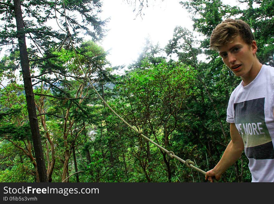 Plant, People in nature, Green, Tree, Sky, Terrestrial plant