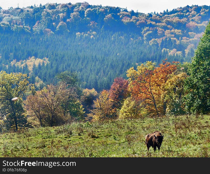 Romania. Romania.