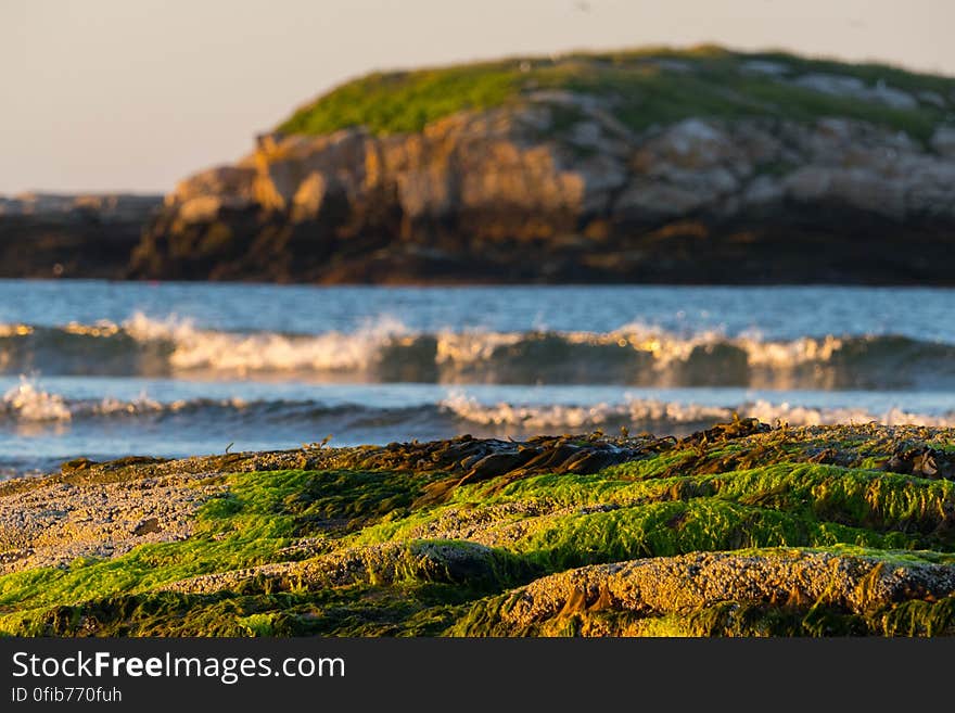 Green Islands, Golden Hour.