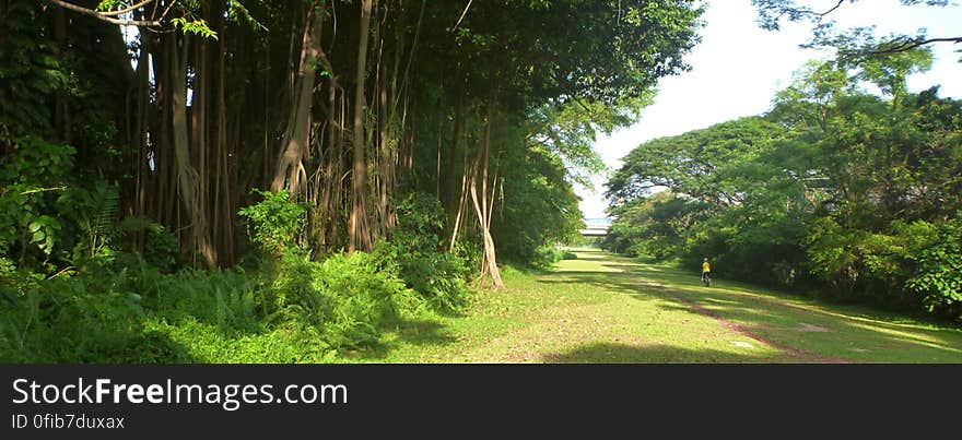 Scenes from my last visit to the Green Corridor on 15 June 2016 prior to the commencement of the Murnane Water Pipeline project. The full trail is not expected to be accessible again until December 2019. More details: theinsidestorey.org/2016/06/21/green-corridor-closures-to. Scenes from my last visit to the Green Corridor on 15 June 2016 prior to the commencement of the Murnane Water Pipeline project. The full trail is not expected to be accessible again until December 2019. More details: theinsidestorey.org/2016/06/21/green-corridor-closures-to...