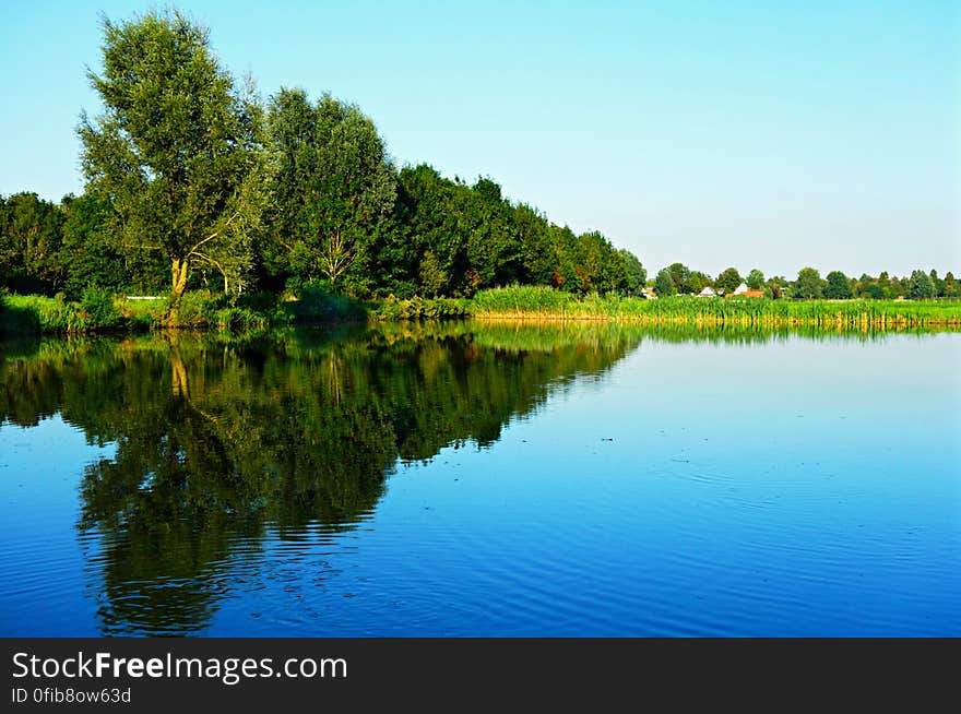 PUBLIC DOMAIN DEDICATION - Pixabay-Pexels digionbew 16. 25-08-16 Reflections in the pond LOW RES DSC00653