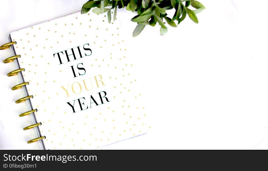 This Is Your Year Notebook