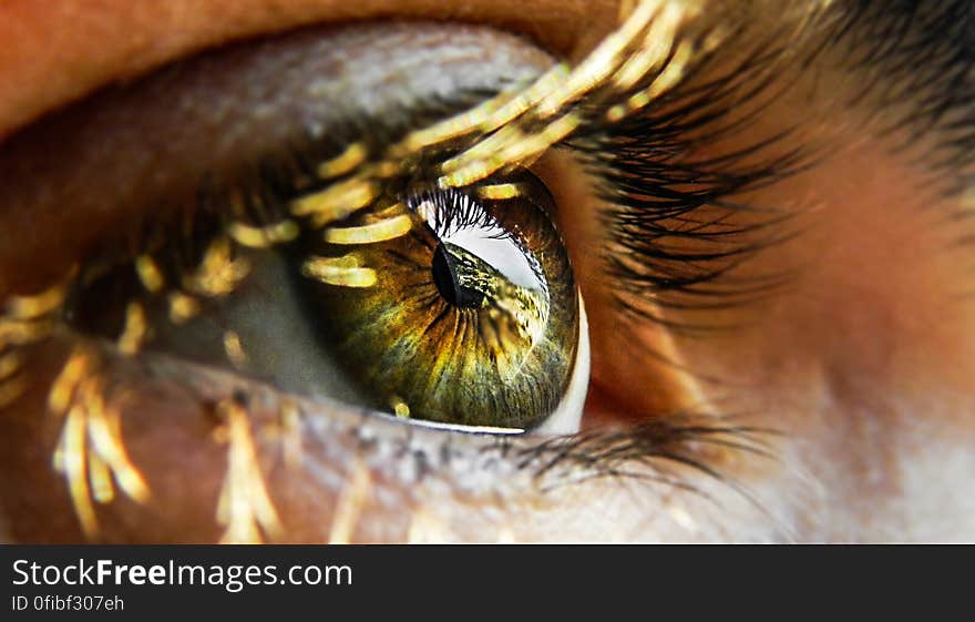 Close-up of Human Eye