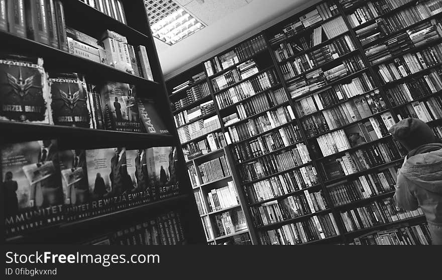 Books on Shelves in Library