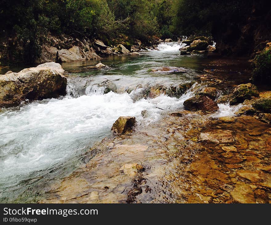 Scenic View of Waterfall in Forest