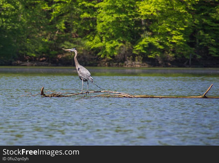 Fountainhead Regional Park, Virginia, USA. Fountainhead Regional Park, Virginia, USA