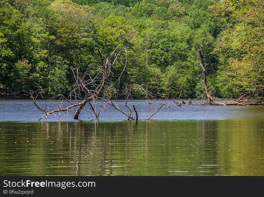 Fountainhead Regional Park, Virginia, USA. Fountainhead Regional Park, Virginia, USA