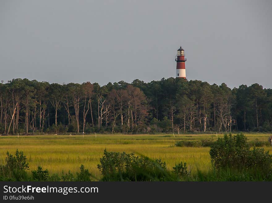 Chincoteague, VA, USA. Chincoteague, VA, USA