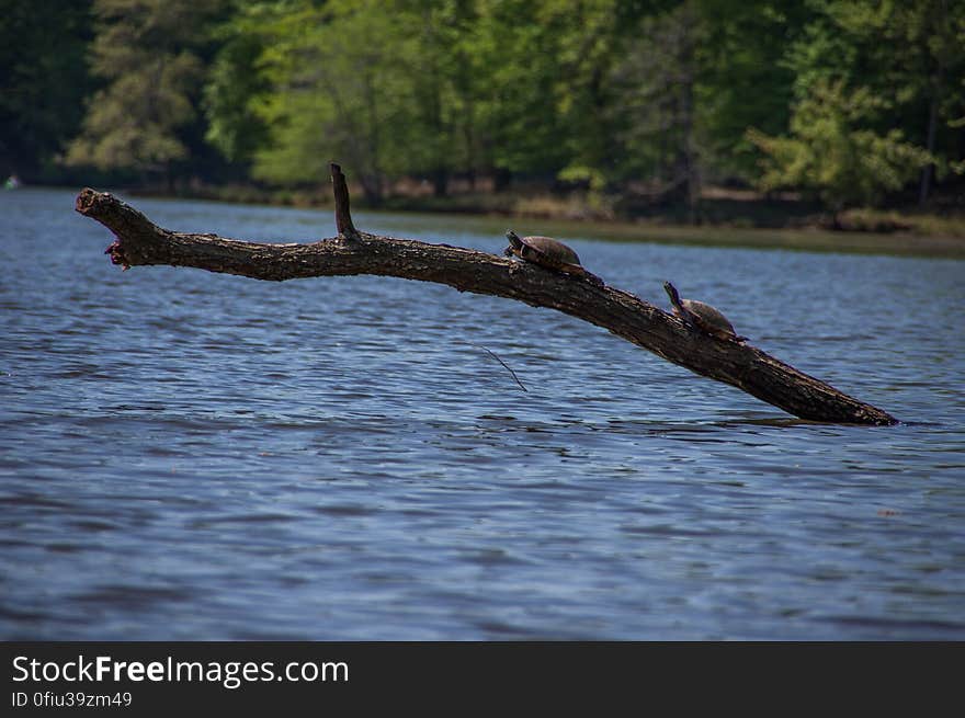 Fountainhead Regional Park, Virginia, USA. Fountainhead Regional Park, Virginia, USA